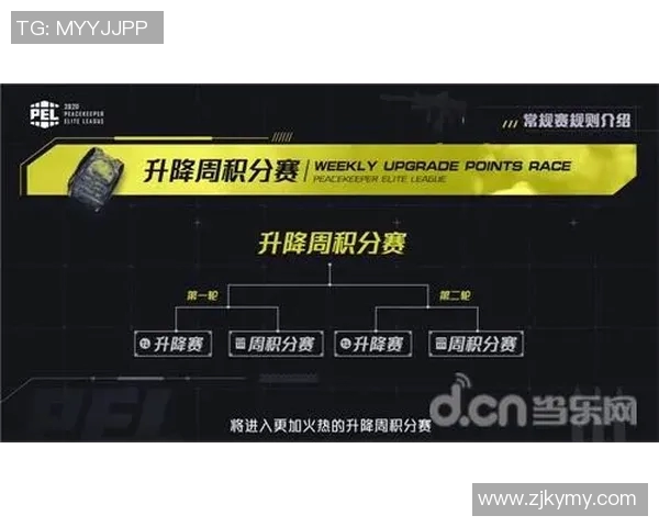 深入解析FPX战队防反打法的战术特点与应用策略实时新闻